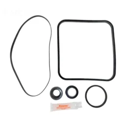 Hayward Super Pump Go Kit