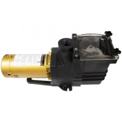 Doheny's Pool Pro Plus Inground Pump, 1.5 HP 115/230V -Swimline Sales Store 90555 b2020 1